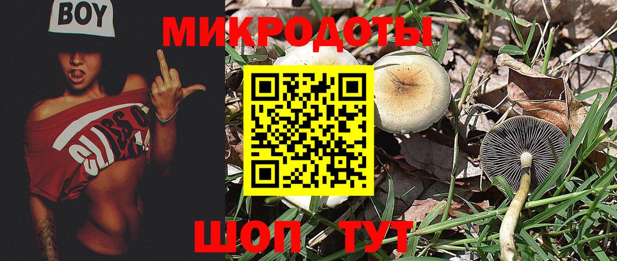 Магнитогорск  Галлюциногенные грибы Cubensis  Псилоцибиновые грибы Psilocybe  Вход с VPN 